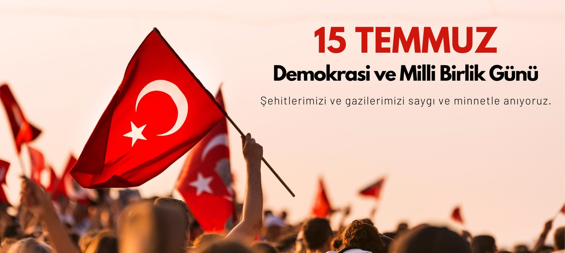 15tmmz