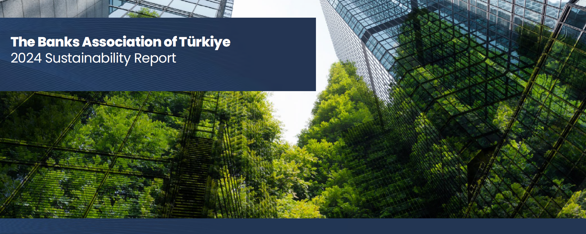 sustainability report